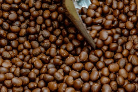 Foodie君亲测,专注19年现炒栗子的粒上皇,名不虚传!