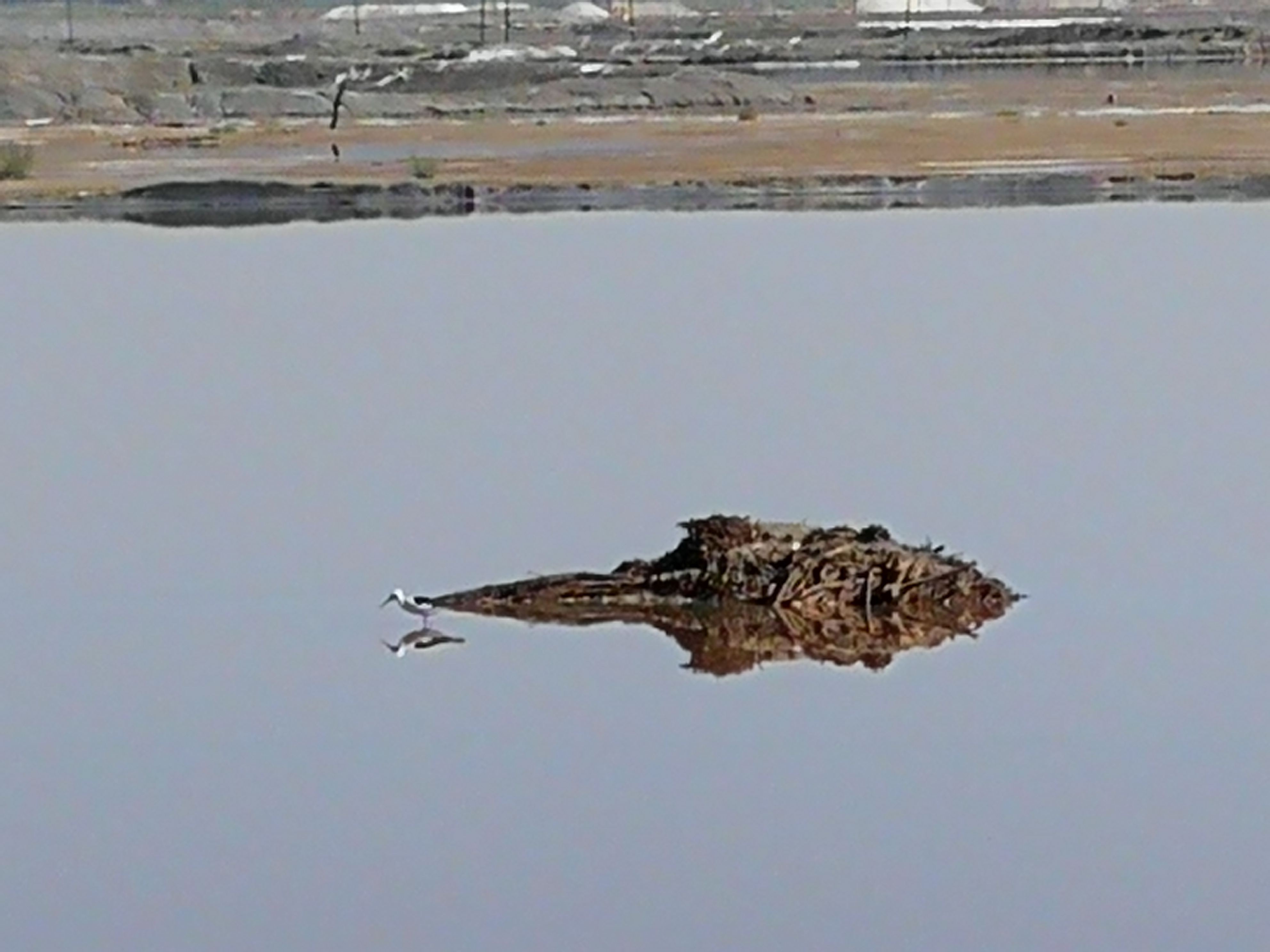银行流水打印出来看不懂,可以打印10年前的银行流水账单吗