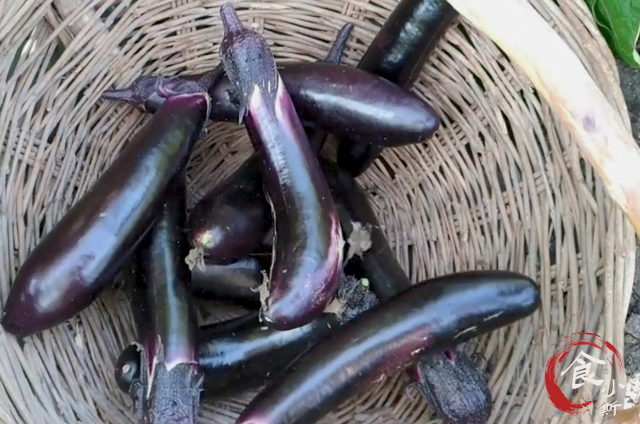 立秋遇到这食材别手软,立秋后吃这菜最过瘾