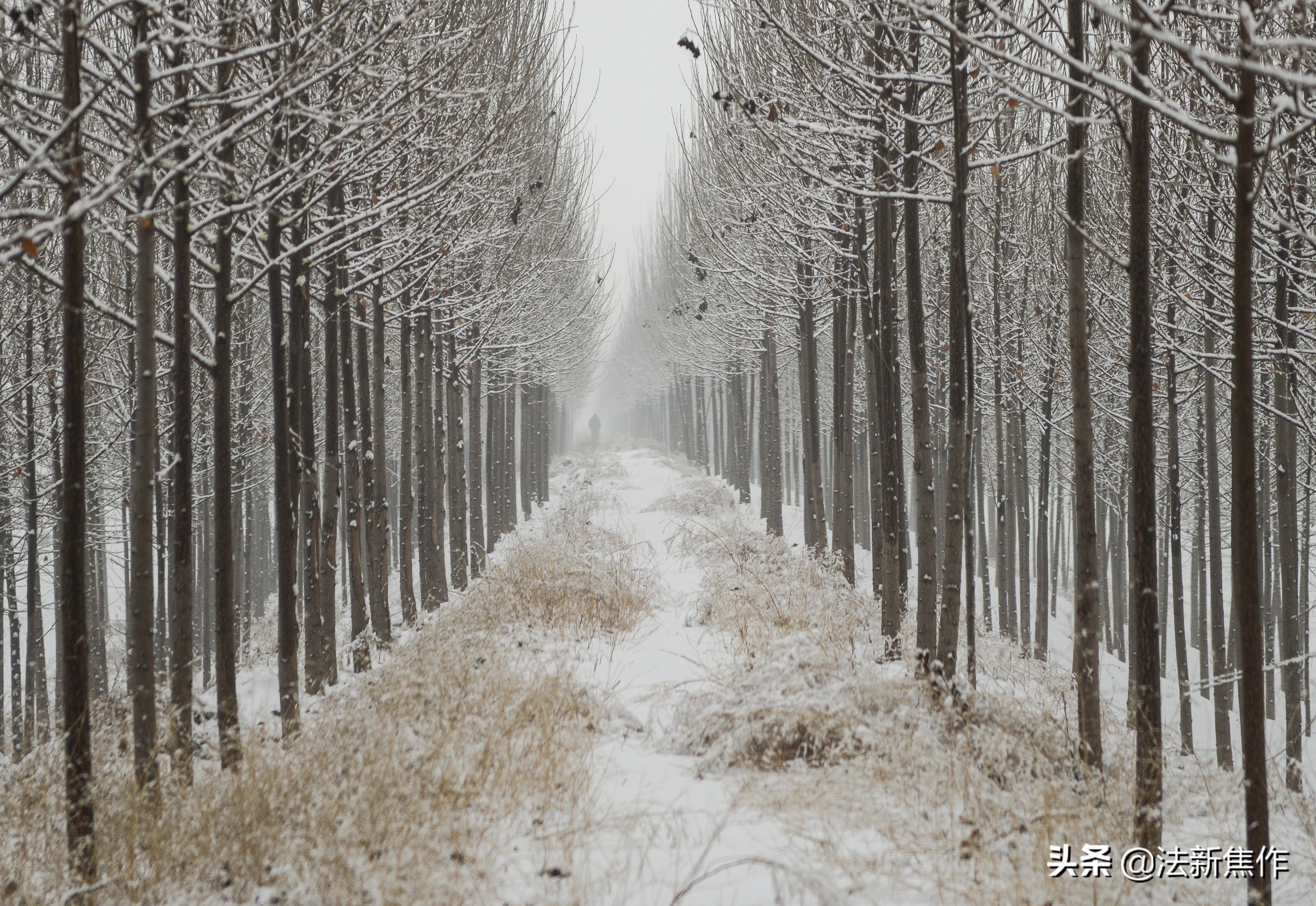 建党百年感人诗歌,献礼建党百年诗