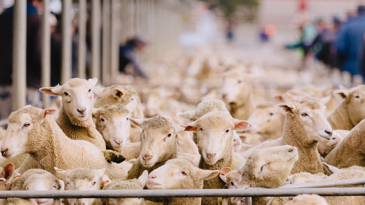 船员发生感染新冠,船员感染冠状病毒死亡