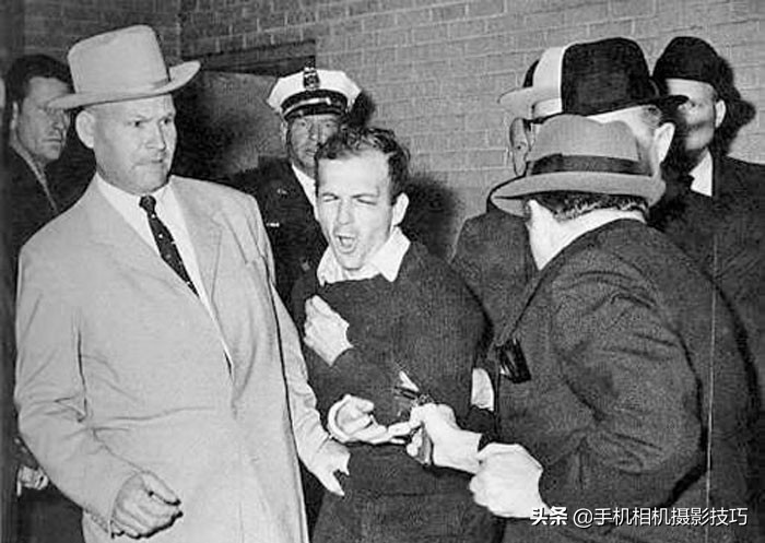 有趣的历史冷知识图片,有趣的冷知识素材图片