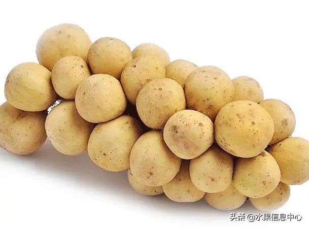 国内好吃的热带水果有哪些,小众水果推荐