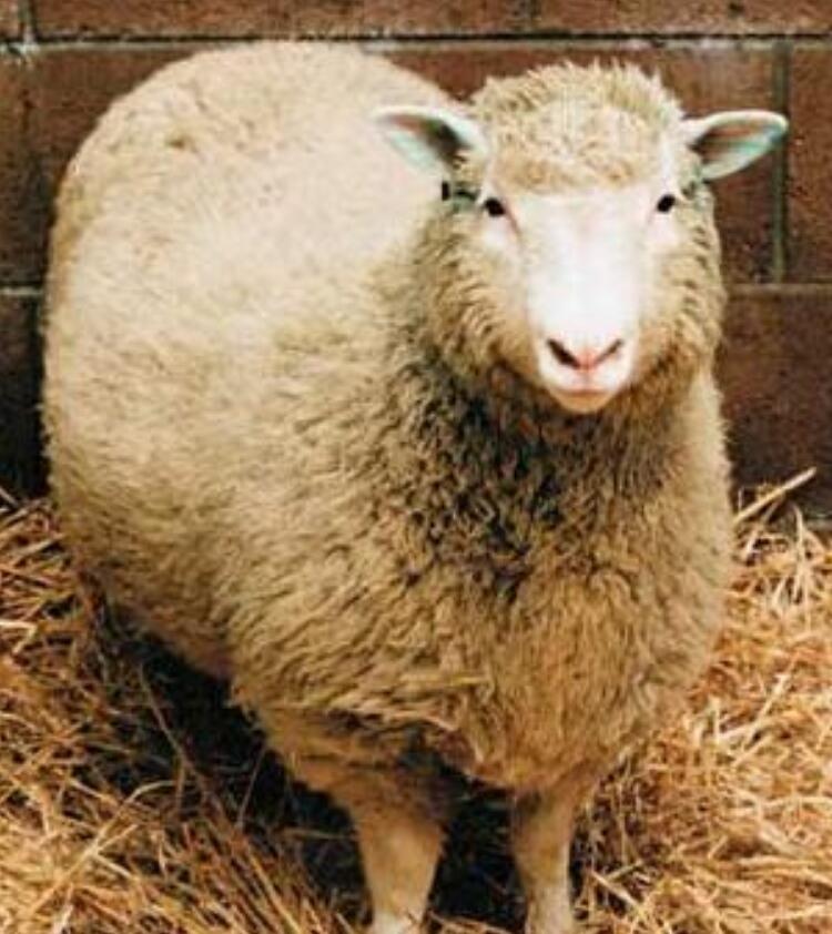 科学家发现史前恐龙生命强大,中国科学家已经复活恐龙了吗