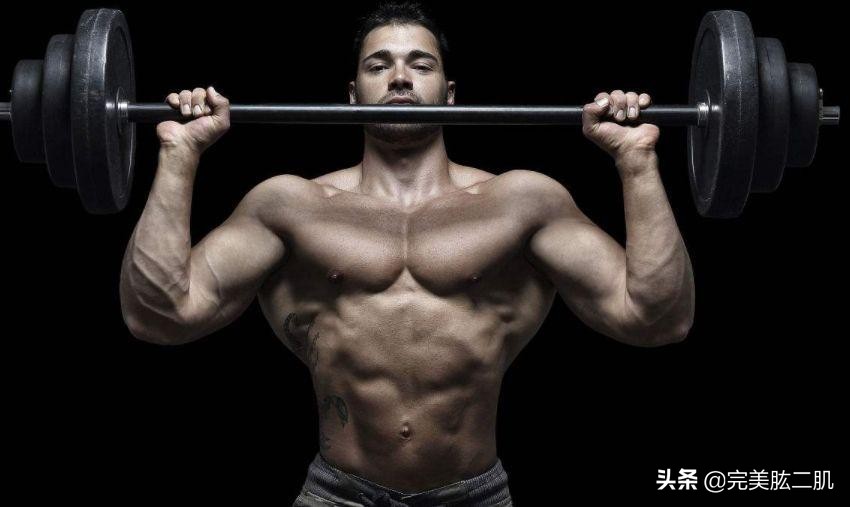 决定肩宽的是背部哪块肌肉,决定身高的因素占比