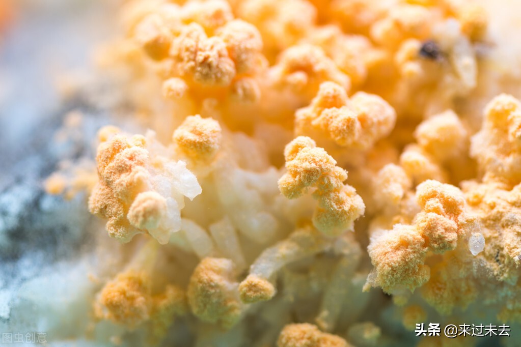 色香味俱全美食教程,色香味俱全的菜教程