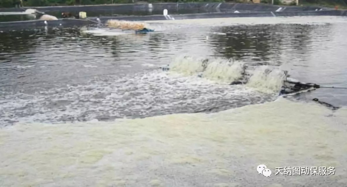 养殖水质的管理技术,养殖水体变硬怎么办