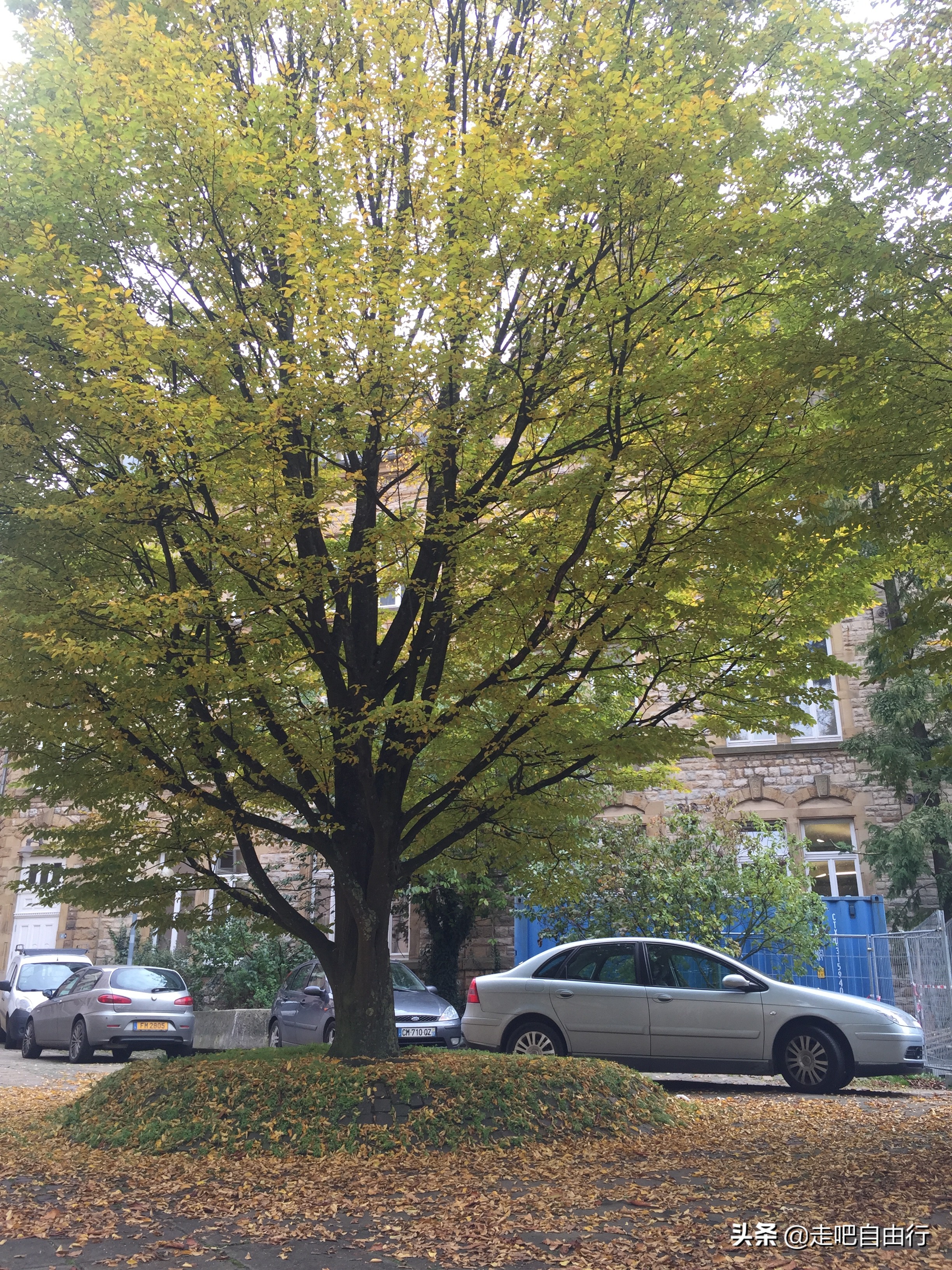 三小时环游世界,雨后漫步卢森堡的袖珍王国