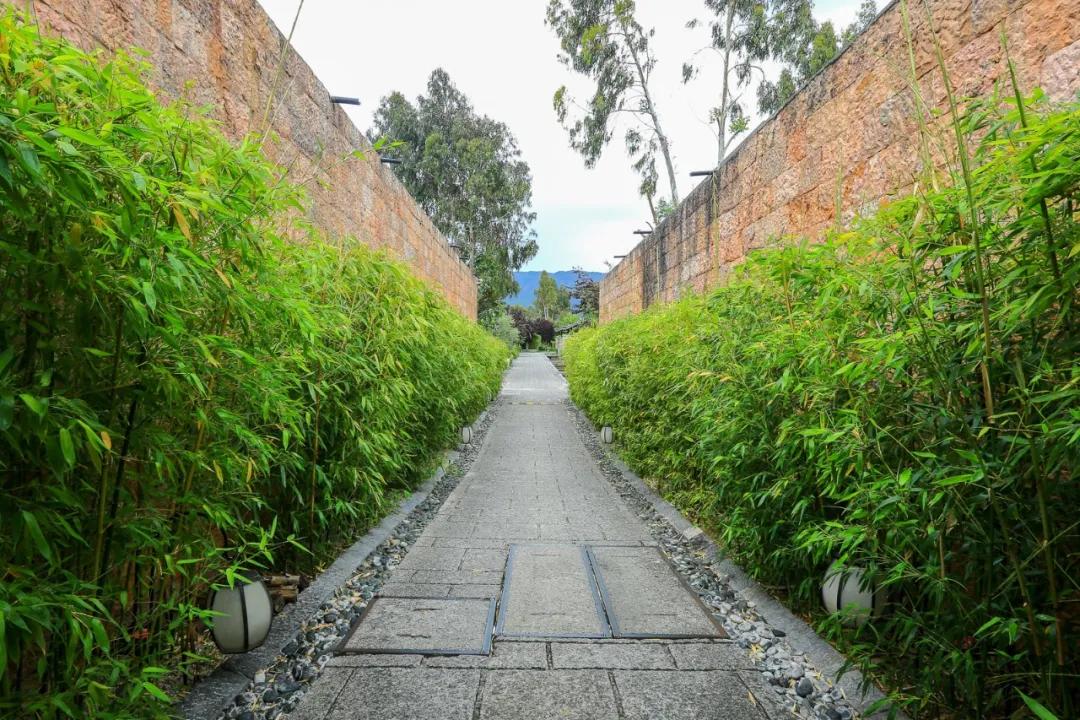 丽江悦榕庄泳池别墅,丽江悦榕庄别墅视频