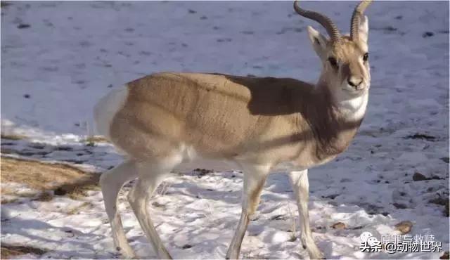 二十年春雨,春雨十年小说