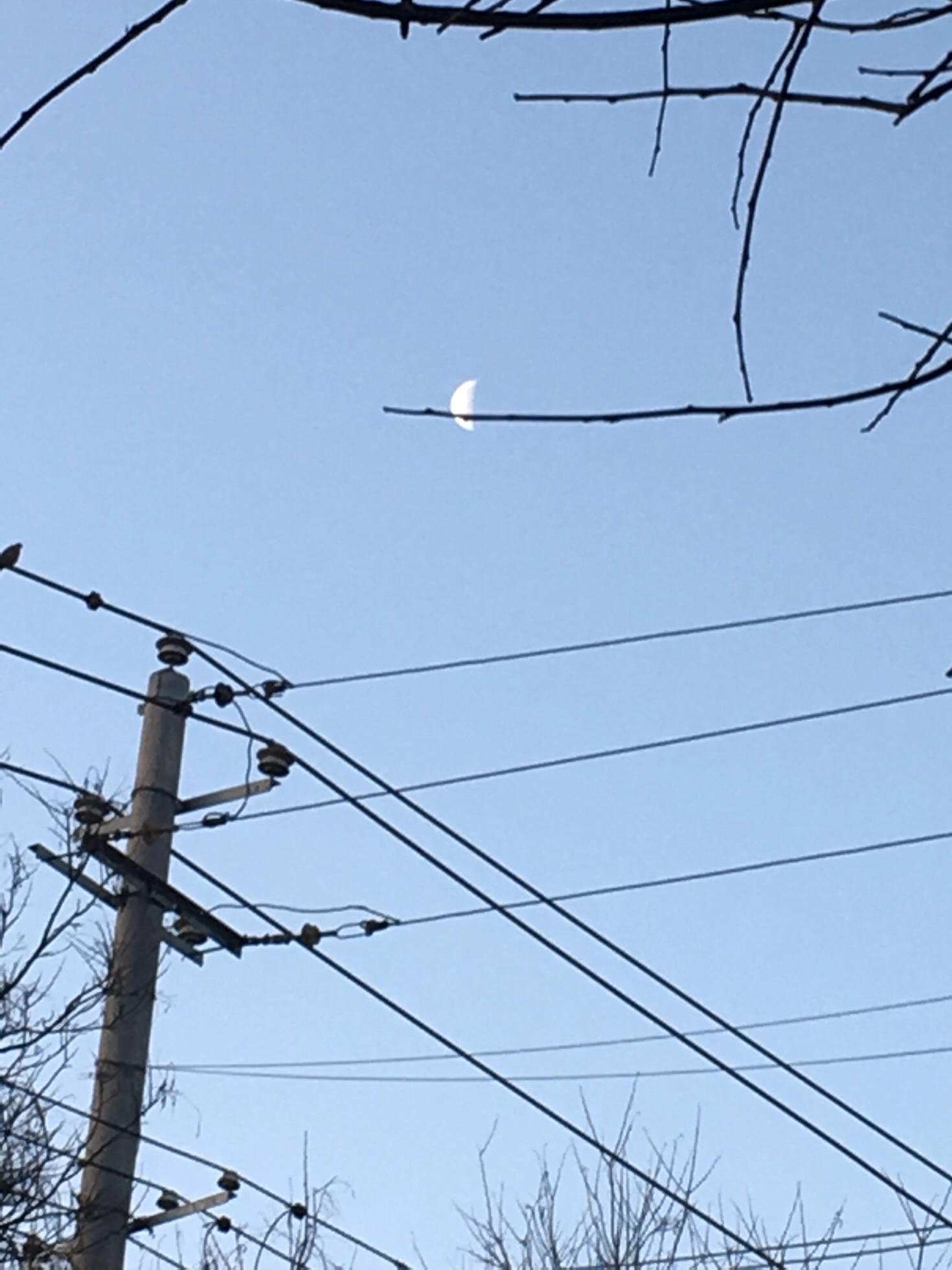 月亮像香蕉吗,月亮像香蕉