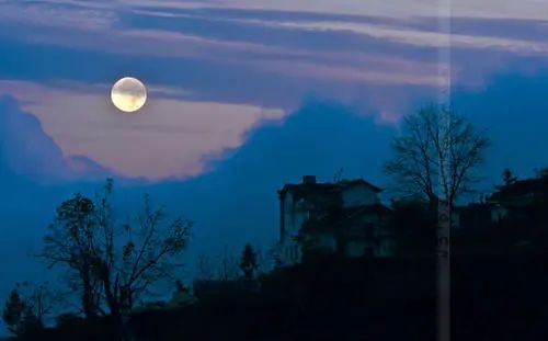 海上明月共潮生诗词,海上生明月诗词全文