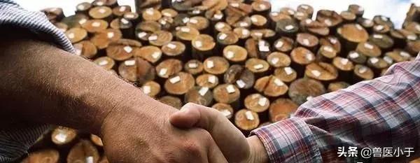 农村1万以下小额创业项目,农村创业点子19个小本创业