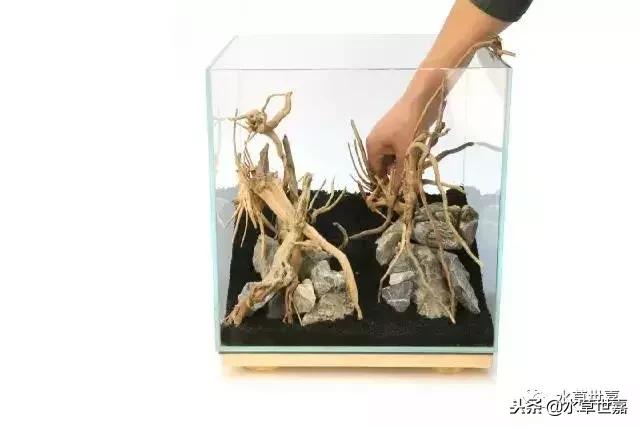 30cm小缸青龙石造景大全,30cm长缸原生溪流缸造景