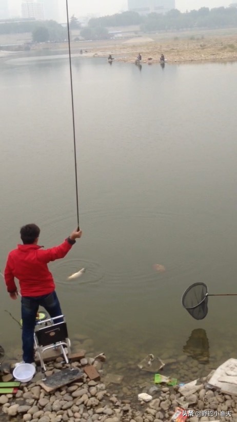 塘塘钓鱼日记,钓鱼日记铁堰水库