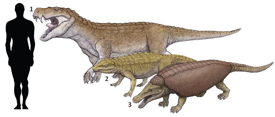 史前恐龙是怎么诞生的,史前恐龙的进化史