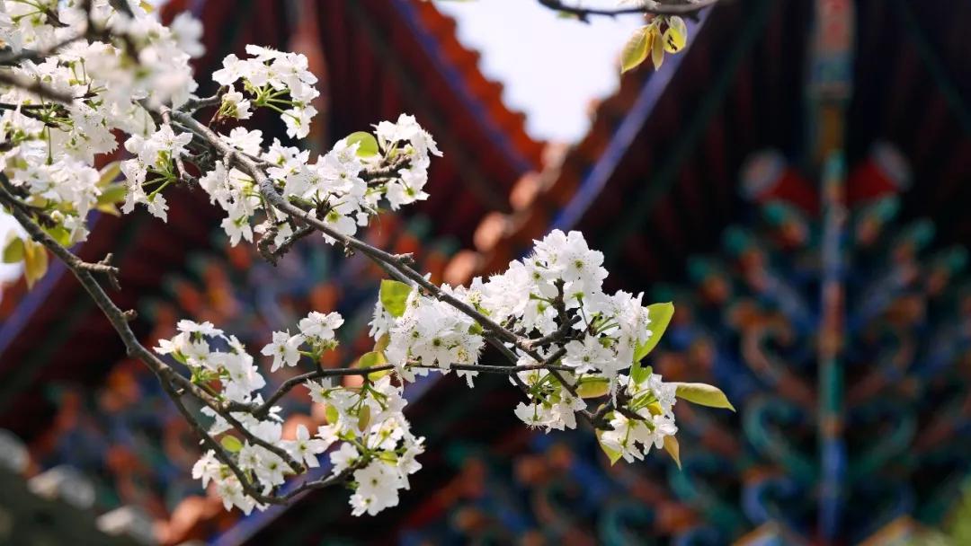 这是一个生机勃勃的地方关于它的故事才刚刚开始