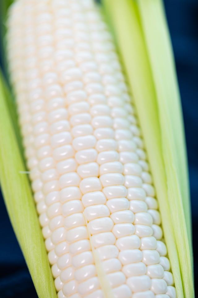 非转基因水果玉米即食,牛奶爆汁玉米是转基因吗