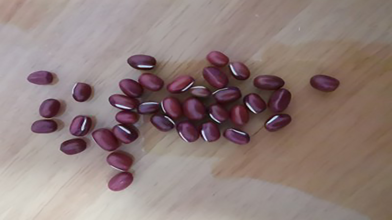 红豆怎么辨别,怎样选购正宗的红豆