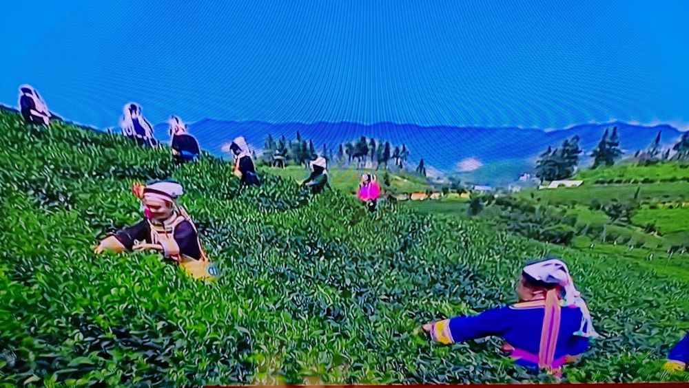 参苓白术散吃多久见效果,健脾祛湿补中益气丸参苓白术散