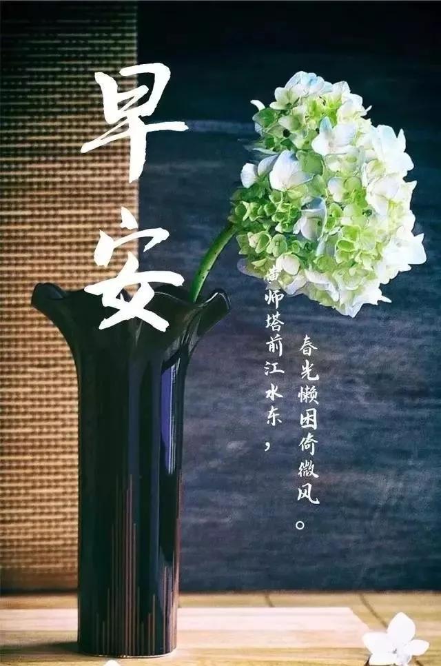 11月21日早安心语正能量句子,2021年早安心语正能量一句话