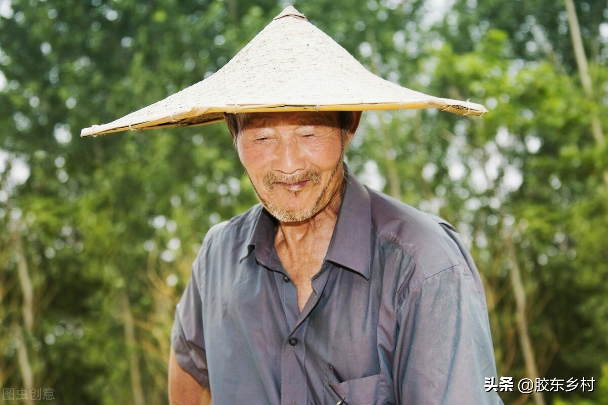为什么农村过端午挂艾草,端午节挂艾草有哪些讲究快来看看