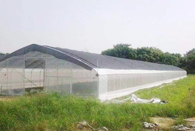 有人说，种植大棚不挣钱，竟是瞎投资，这种说法是对是错？