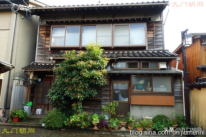 金泽区东茶屋街,金泽茶屋街简介