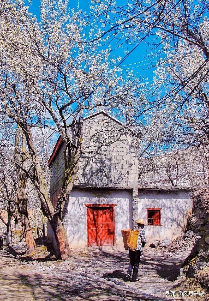 成都出发林芝旅游攻略图,金川梨花节自驾游五日线路图