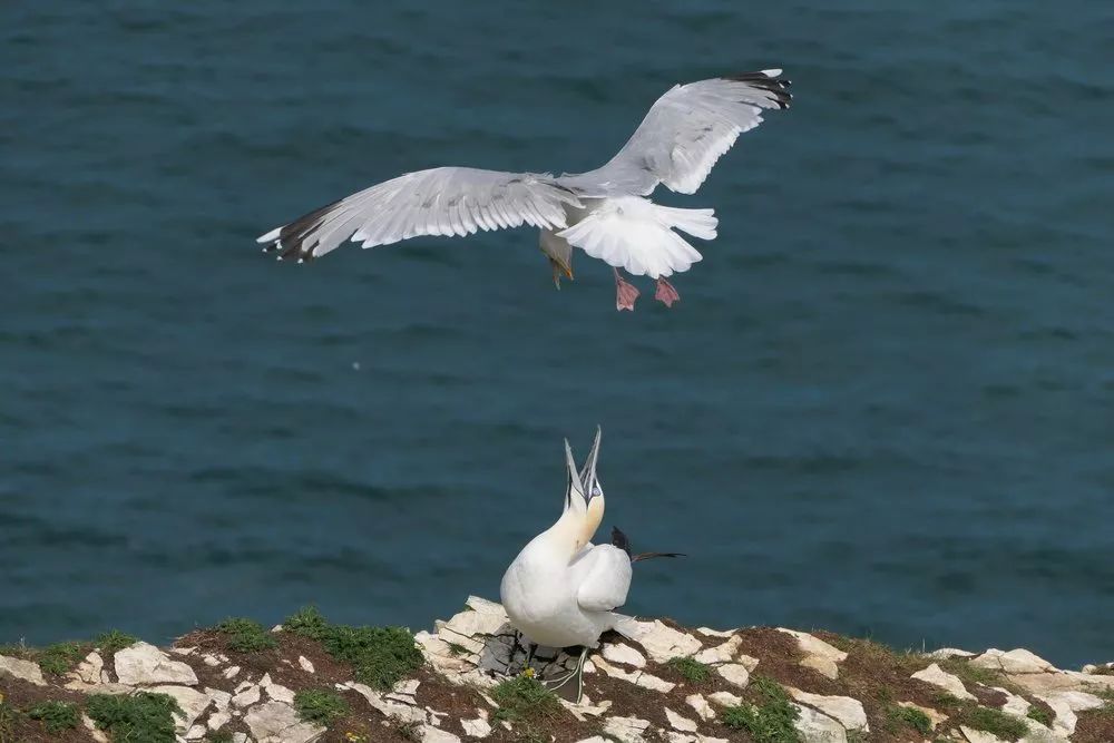 leicav-lux5使用教程,徕卡leicav-lux5