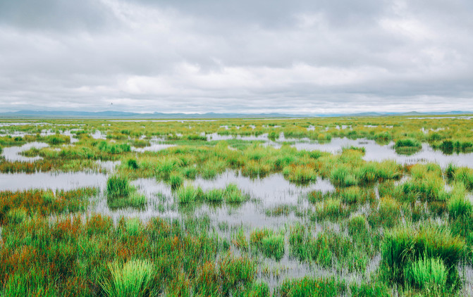 若尔盖5日游推荐,成都九寨沟黄龙若尔盖深度游