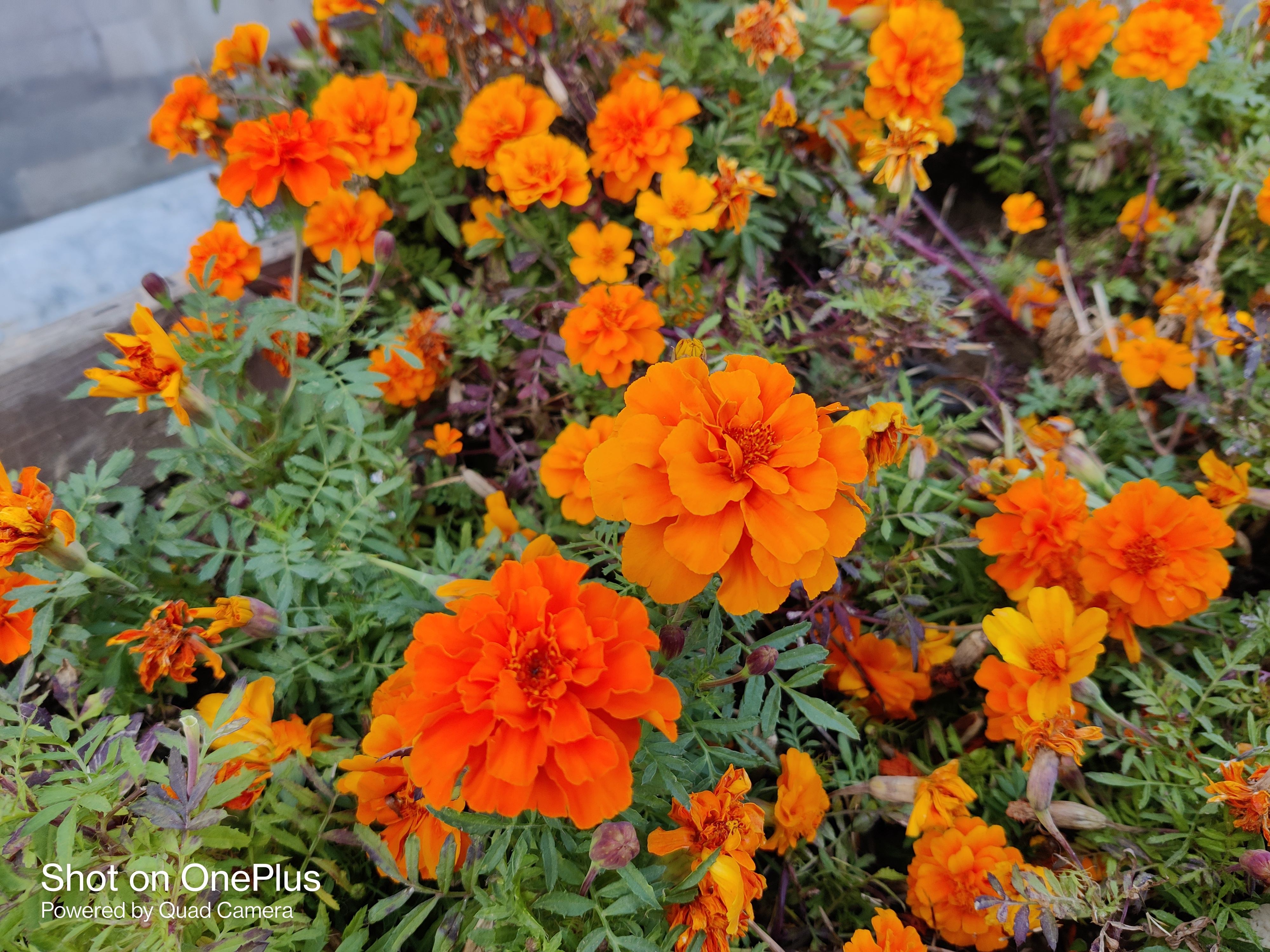 一加8t到底好用不,一加8t用一个月感受