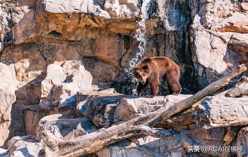 吃喝玩乐in珠海,珠海吃喝玩乐一体的地方