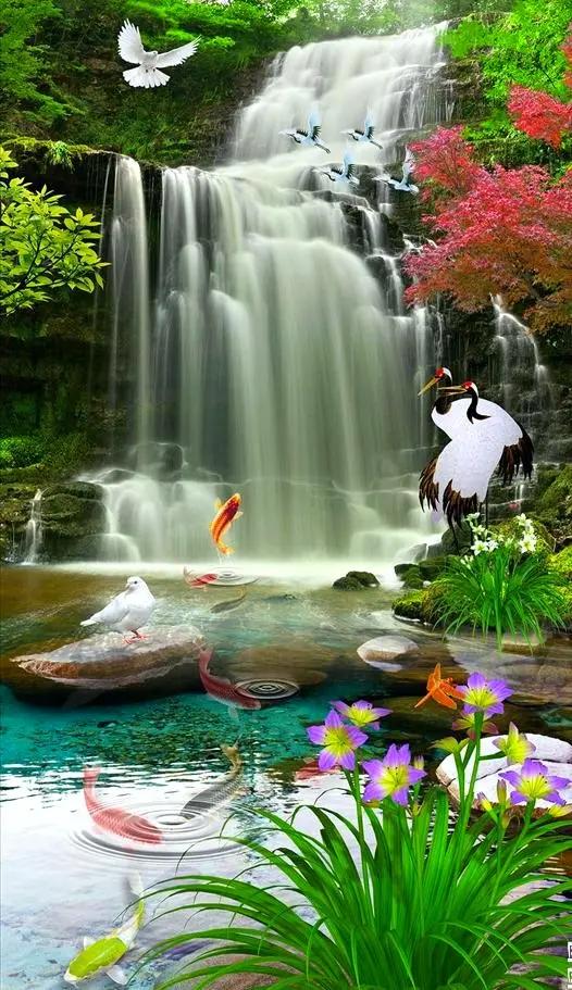 voa英语怎样,voa英语学习视频