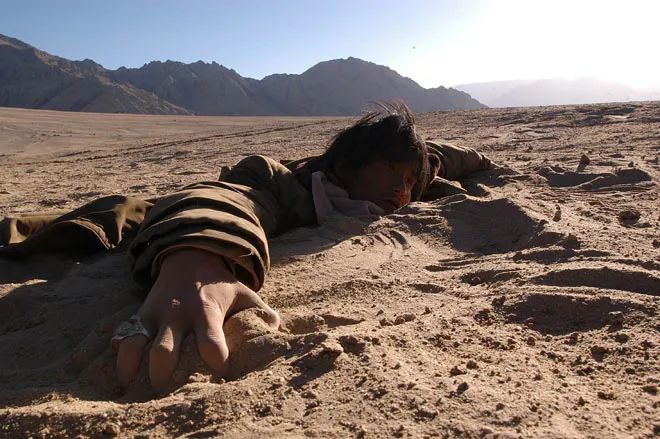 近20年评分最高十部喜剧电视剧,近20年评分最高华语电影