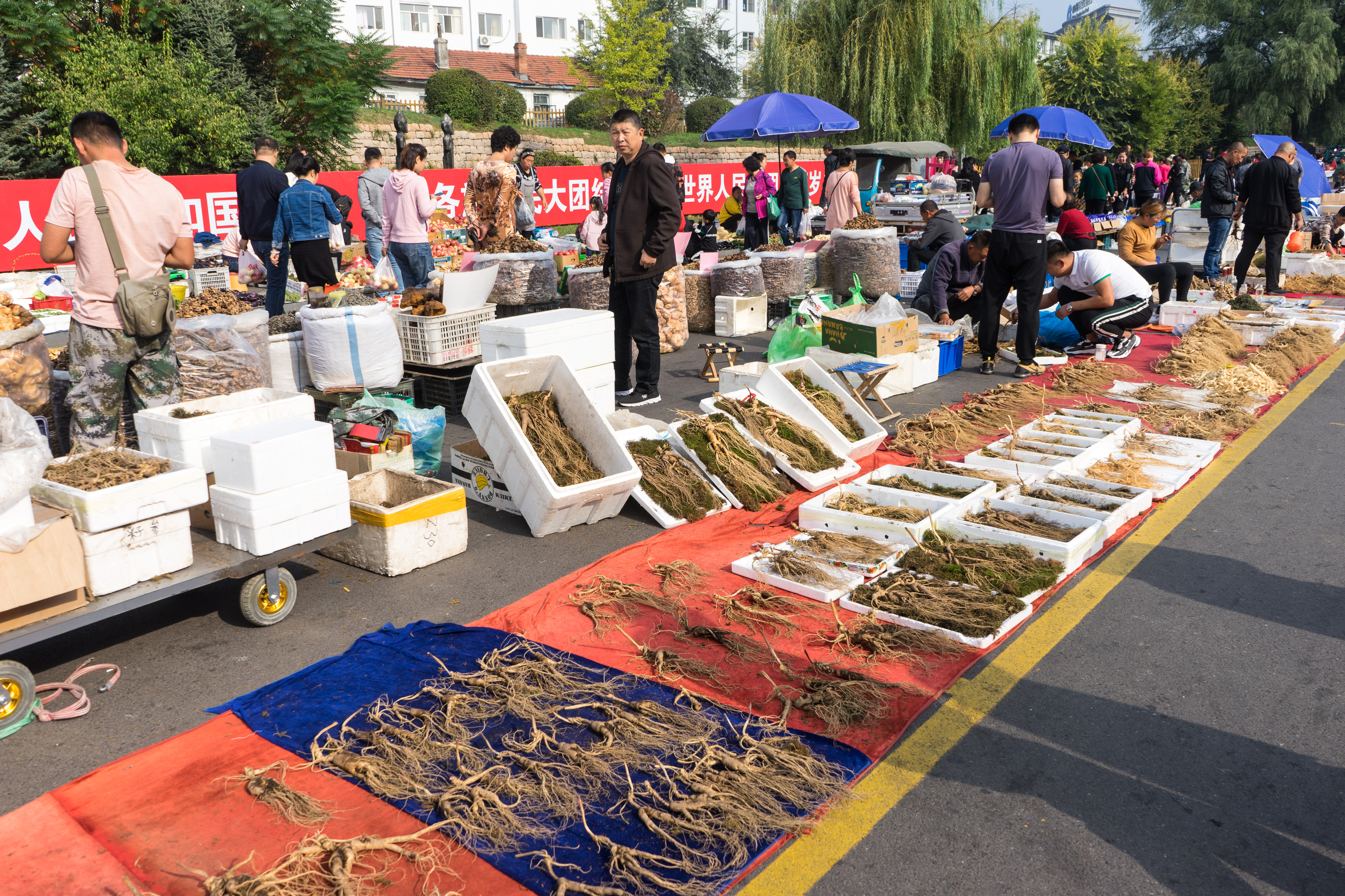 中朝边境自驾游视频,331国道自驾中朝攻略