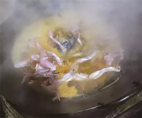 川味美蛙鱼头推荐,川菜香锅美蛙图片