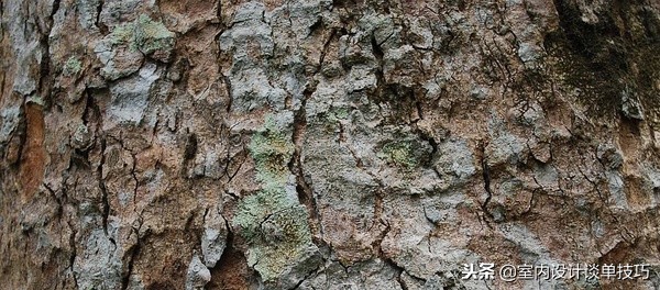 60种常用木材木纹大全,值得收藏