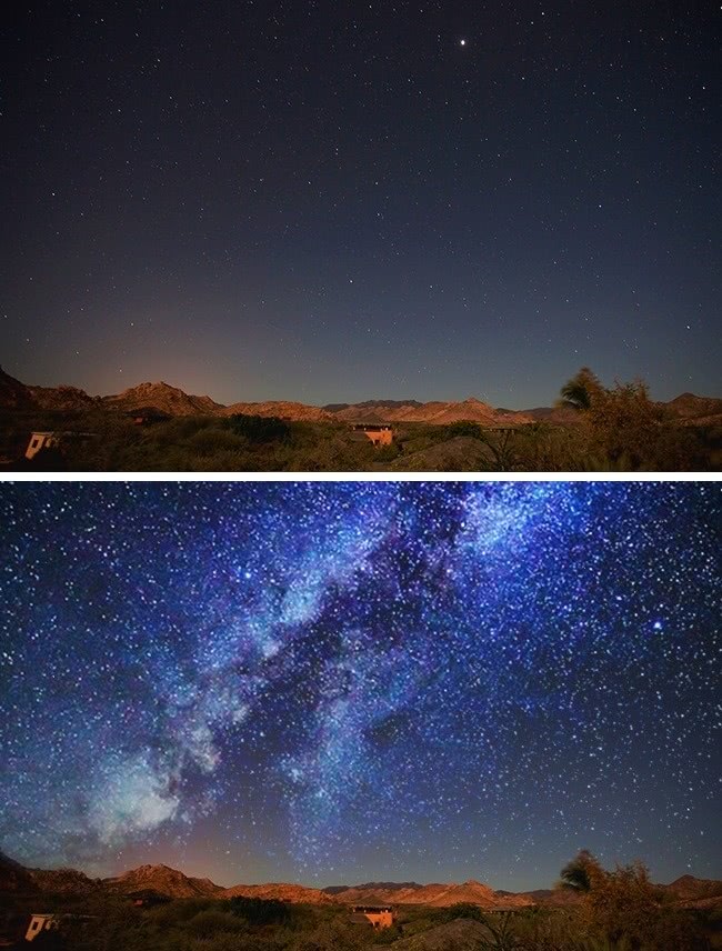 什么动物视力模糊不清,视力与人类一样的动物