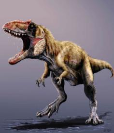 十大肉食性恐龙怎么画,肉食性恐龙视频