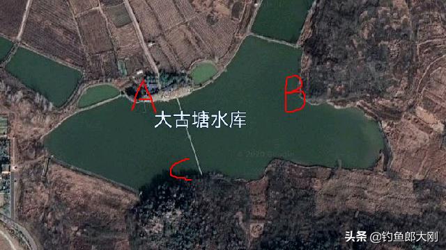 怎样辨别野生斑鱼,叉尾斑点鮰怎么钓