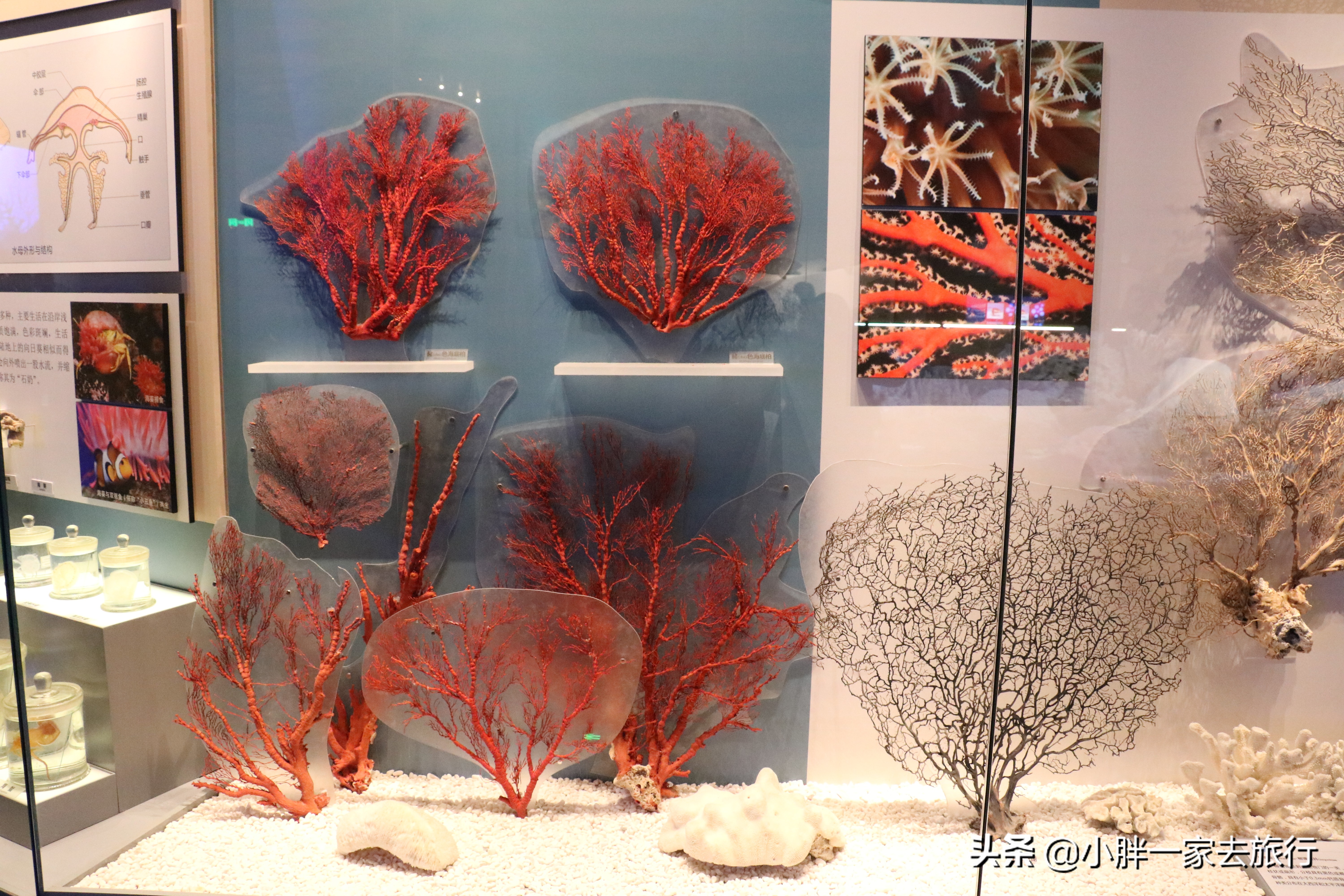 最大的北京海洋博物馆,海上故宫国家海洋博物馆