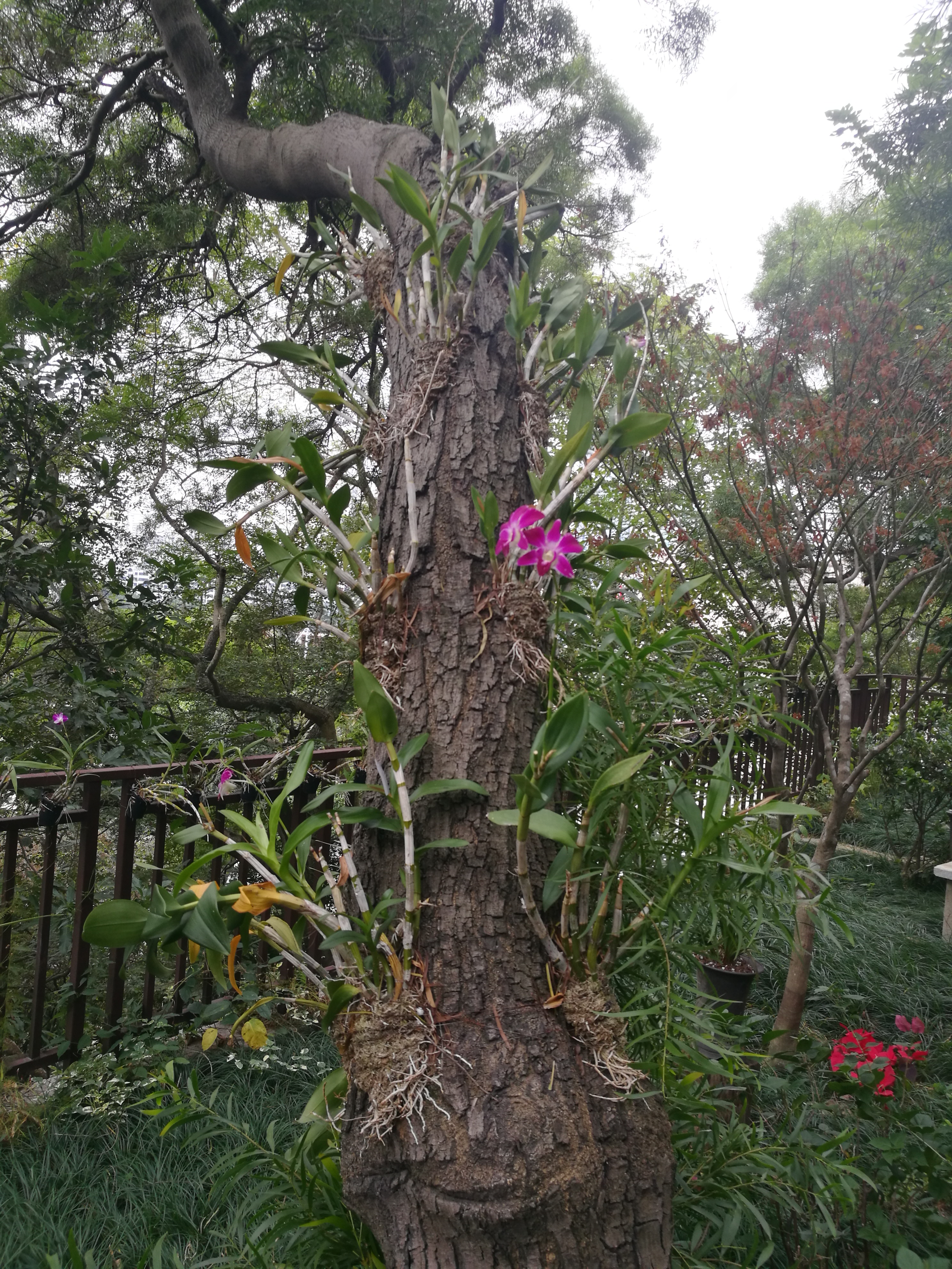 福建省会城市福州,福州这座城市有哪些魅力