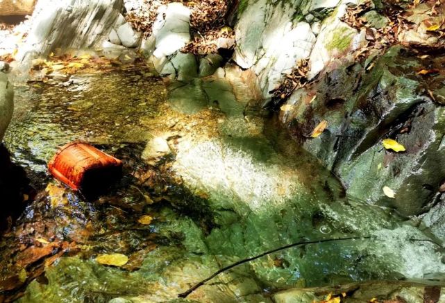 麦哲伦航线·第二站:阳产德味儿民宿合伙人-小丫TUYA