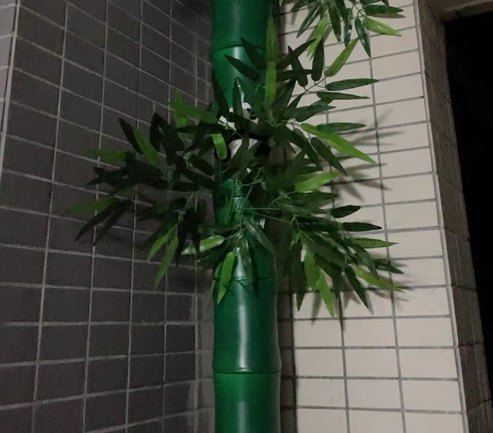 卫生间常见的四大痛点,卫生间的致命问题