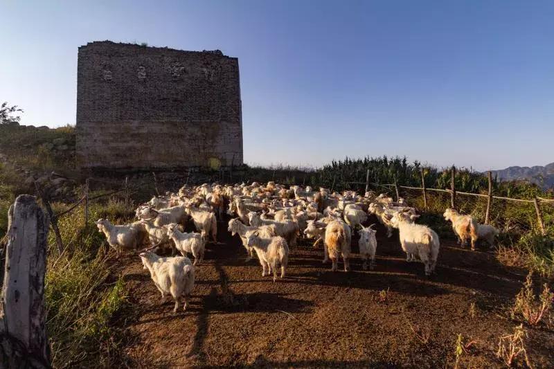 保定明长城遗址,万里长城在哪些地方