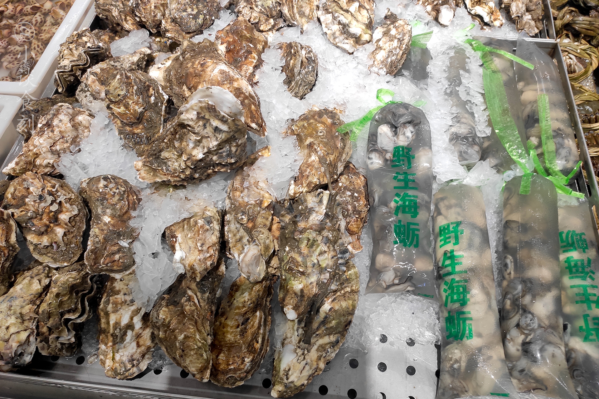 超市袋装生蚝肉为什么便宜,超市十几块一箱的生蚝