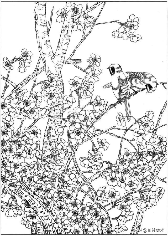 现代国画工笔花鸟白描及完整版,路雨年工笔白描花鸟团扇高清图片