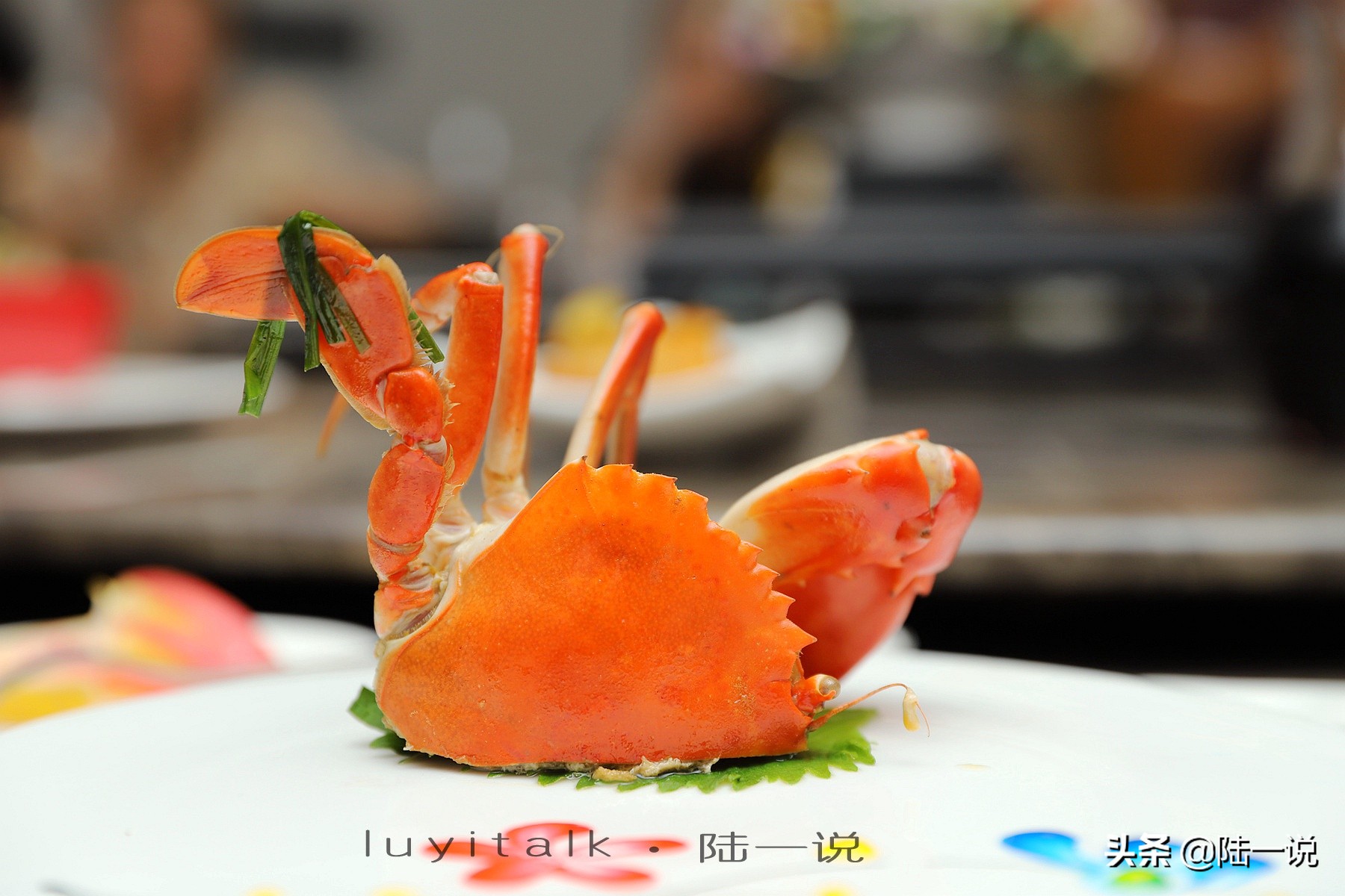 鱼翅海马,鱼翅海马花胶