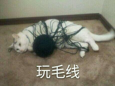 品金|妈妈手中的毛线,什么时候成了时尚界的宠儿?